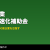 中小企業成長加速化補助金の概要図